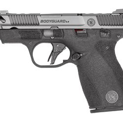 S&W BODYGRD 2 CC 380ACP 3.1″ TS CA