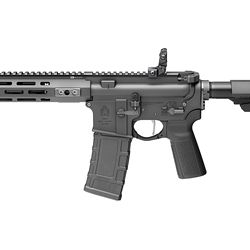 SPGFLD ST VIC PSTL 300BLK SBA3 9.6″