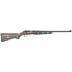 RUGER AM RIM 22LR 22″ 10RD RWB WD