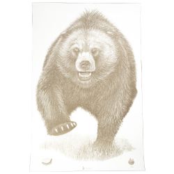 ACTION TGT AK STATE PARK BEAR 100PK