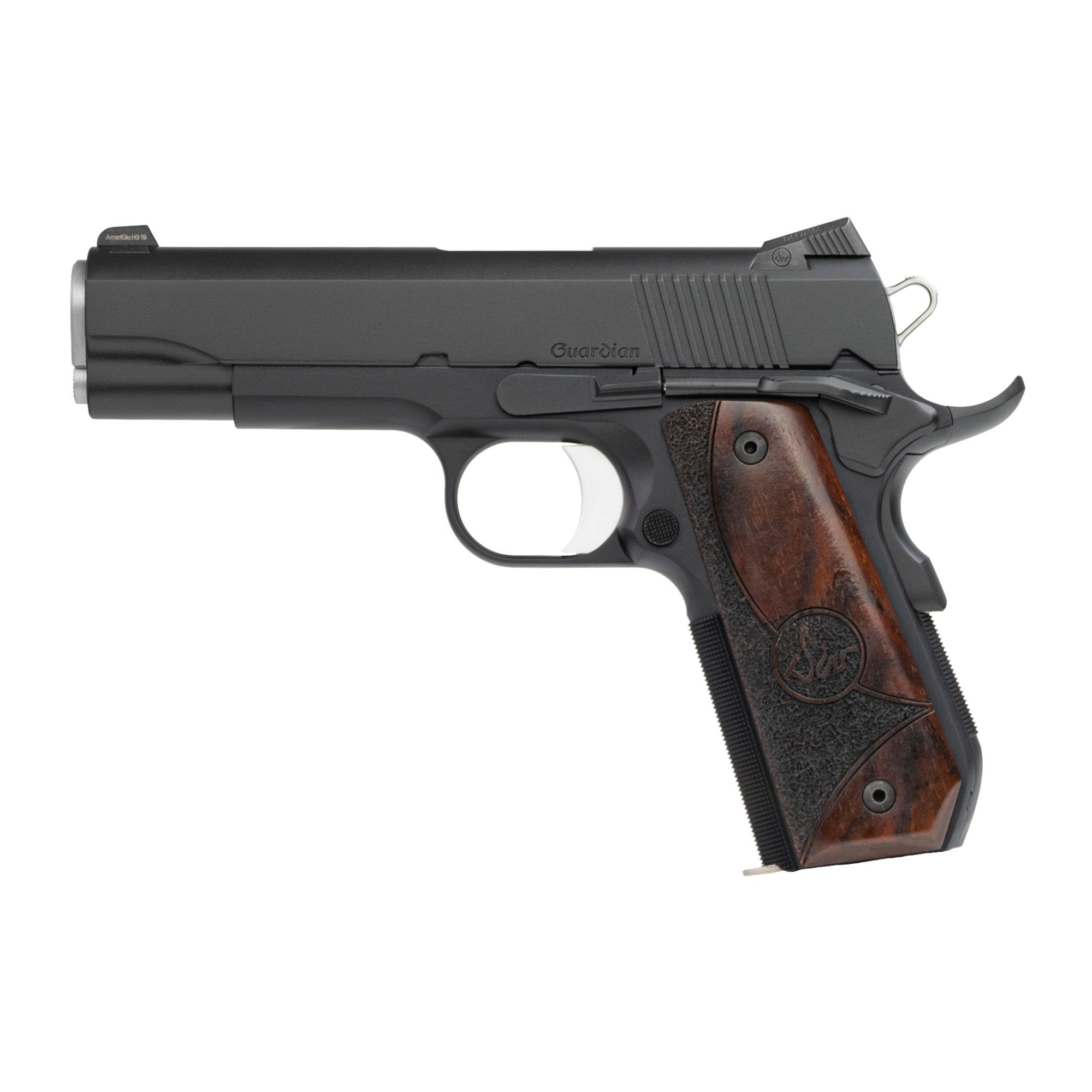 DW GUARDIAN 9MM 4.25″ BBTL 9RD BLK