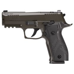 SIG P226 XLGN SAO 9MM 3.8″ 10RD GRY