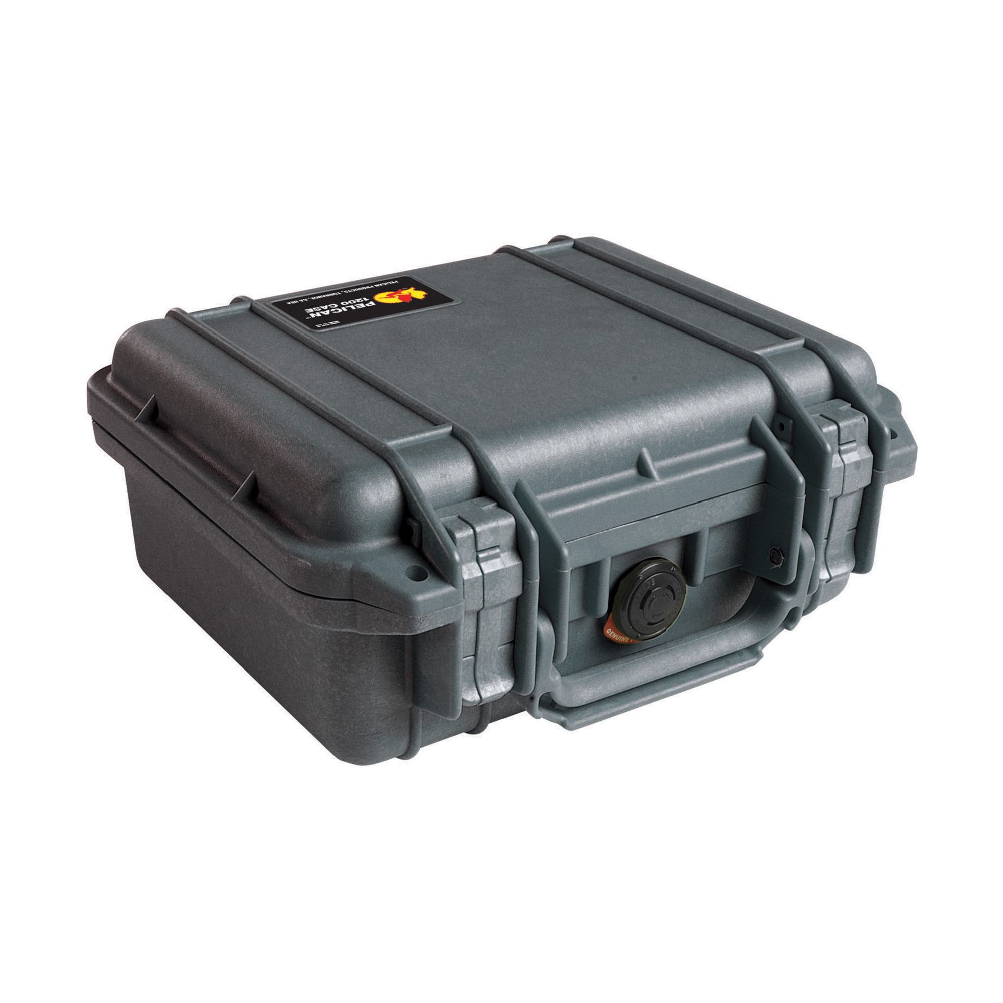 PELICAN 1200 PROTECTOR CASE BLK