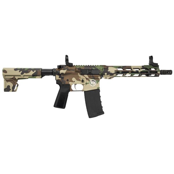 HI-PT HP-15 300BLK 10.5 30RD M81 BRC