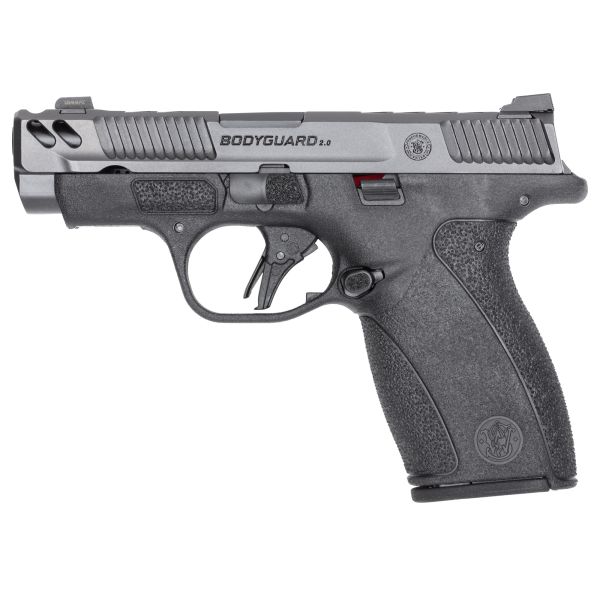 S&W BODYGRD 2 CC 380ACP 3.1 12RD NTS