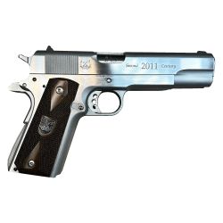 AMPF 1911 2ND CNTRY 45ACP 5″ 14RD SS