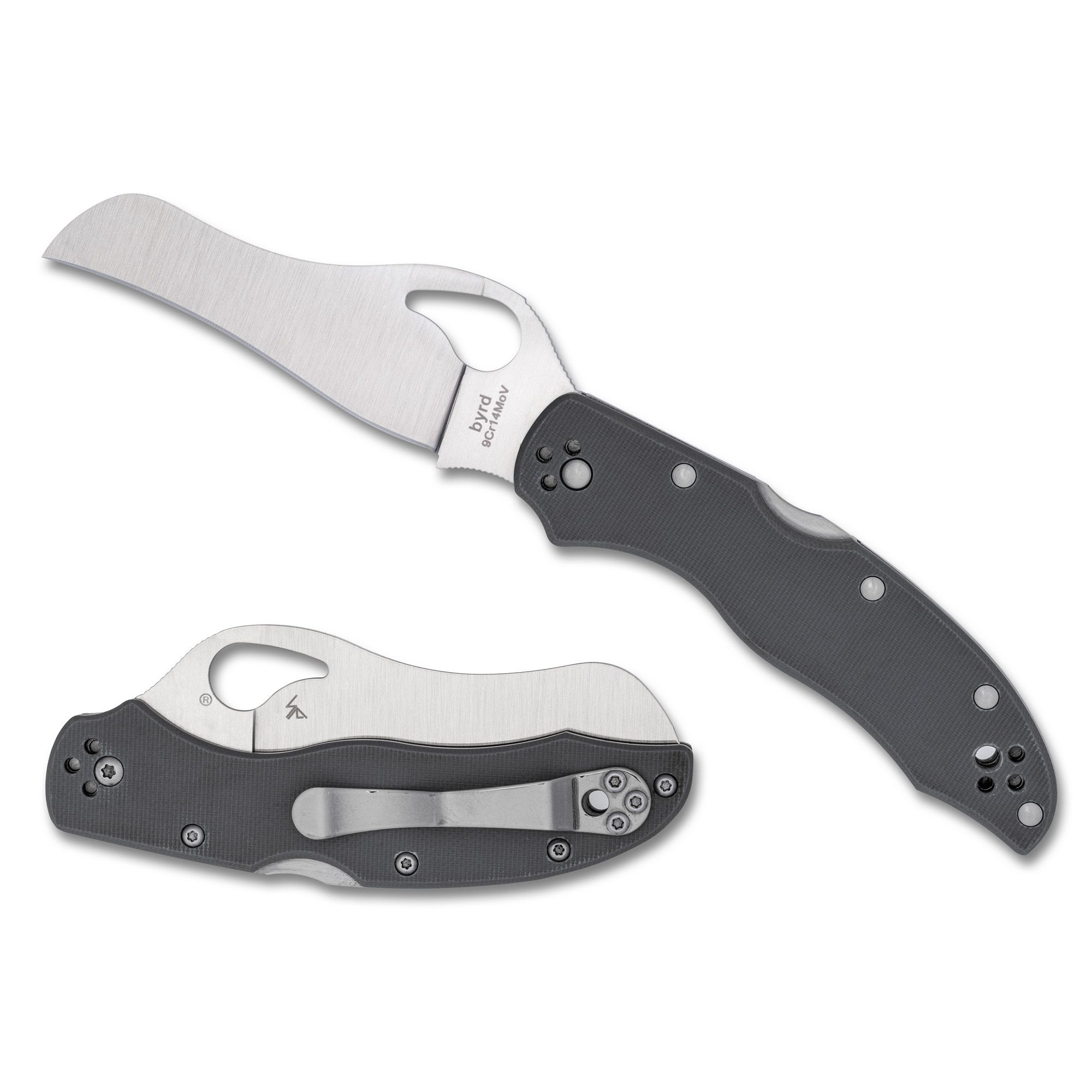 SPYDERCO GOONEY 3.46″ GRAY