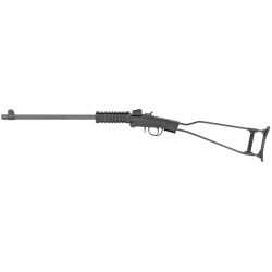 CHIAPPA LITTLE BADGER 17HMR 16.5″