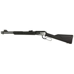 ROSSI RIOBRAVO 22LR 18″ US FLAG 15RD
